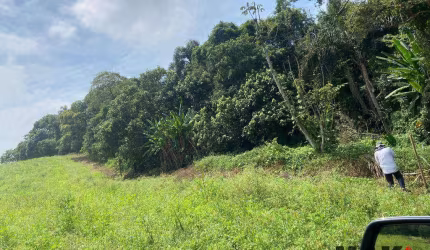 Área à venda, 194154 m² por R$ 11.649.238,20 - Parque Santa Rosa - Suzano/SP