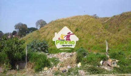 Terreno em Guarulhos bairro Jardim Monte Alto- R$ 20.000.000,00