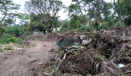 Terreno com 7 Lotes - Totalizando 3.700m²