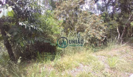 Terreno à venda, 726 m² por R$ 100.000,00 - Rio do Ouro - Niterói/RJ
