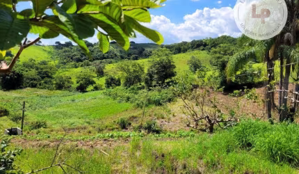 Sítio à venda, 41000 m² por R$ 2.000.000,00 - Morro das Pedras - Valinhos/SP