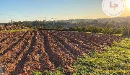 Sítio com 3 dormitórios à venda, 26455 m² por R$ 1.800.000,00 - Reforma Agrária - Valinhos/SP