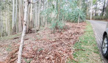 O TERRENO IDEAL PARA CONSTRUIR SUA CASA EM LOCAL SEGURO E EM MEIO A NATUREZA