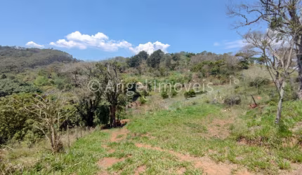TERRENO COM ÁGUA EM ABUNDÂNCIA E  ÓTIMA TOPOGRAFIA