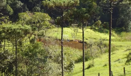 SÍTIO À VENDA NA SERRA DO JAPI - SANTA CLARA - JUNDAÍ/SP