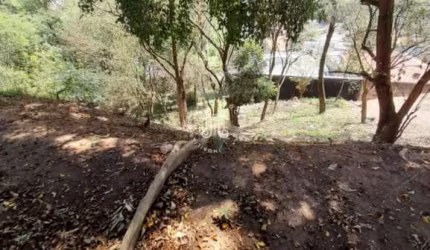 TERRENO COMERCIAL OU REESIDENCIAL À VENDA NO JARDIM PAULISTA, JUNDIAI/SP