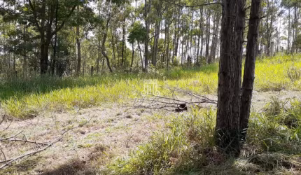TERRENO PARA CHÁCARA À VENDA NO BAIRRO CHÁCARAS MALTONI/JUNDIAÍ-SP