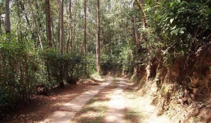 Rural Sítio em Jundiaí