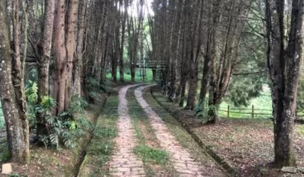 Rural Sítio em Jundiaí