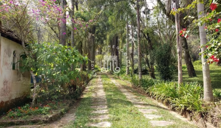 Rural Sítio em Campo Limpo Paulista