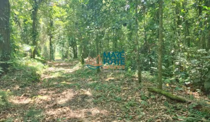 AREA DE FRENTE PARA A RODOVIA OSWALDO CRUZ (6 KM DO CENTRO)