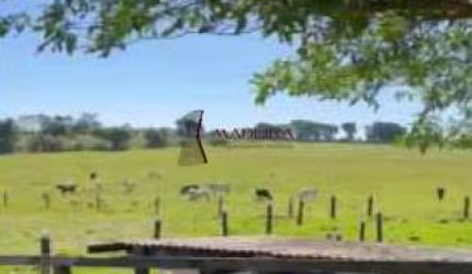 Propriedade Rural à venda, Centro - Cruzeiro do Oeste/PR
