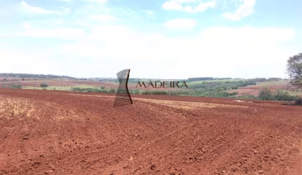 Sítio à venda, Gleba Ribeirão Centenário - Maringá/PR