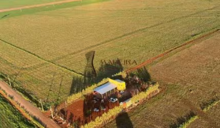Propriedade Rural à venda, 1 quarto, Gleba Ribeirão Atlantique - Maringá/PR