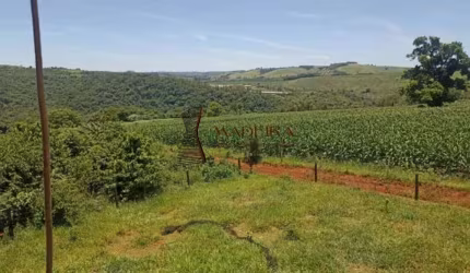 Lindo sítio em Mandaguari
