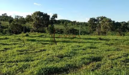 SÍTIO EM RIBEIRÃO CASCALHEIRA