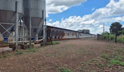AVIÁRIO A VENDA - SITIO DE 1 ALQUEIRE E MEIO - CAMBIRA PR