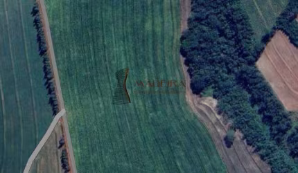 SITIO A VENDA EM NOVA ESPERANÇA PR - 10 ALQUEIRES