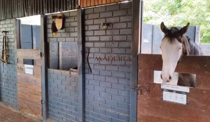 Haras alto padrão a venda para pessoas exigentes 2 alqueires.