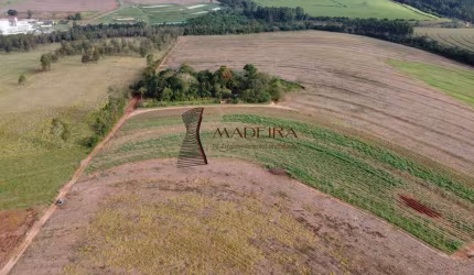 Sítio à Venda - Oportunidade Única na Região de Cianorte/PR
