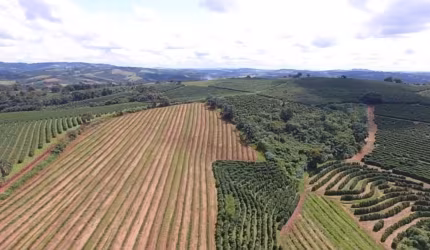 Fazenda à venda no Centro, Nepomuceno  por R$ 6.280.000