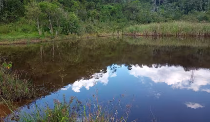 Fazenda à venda em Santana, São José dos Campos  por R$ 6.660.000