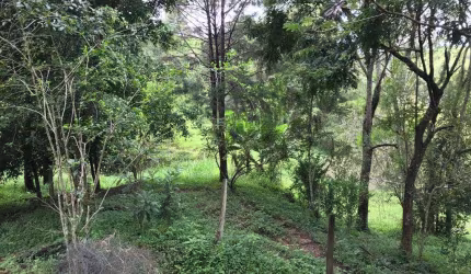 Chácara / sítio com 2 quartos à venda no Centro, Jambeiro  por R$ 950.000