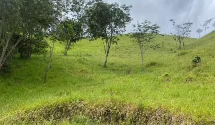 Chácara / sítio à venda no Buquirinha II, São José dos Campos  por R$ 250.000