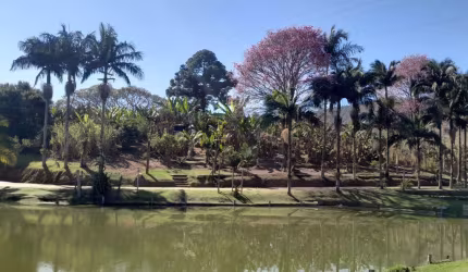 Chácara / sítio com 2 quartos à venda no Guardinha de Baixo, Monte Sião  por R$ 1.350.000
