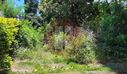 Lote à venda, São Luíz - Belo Horizonte/MG