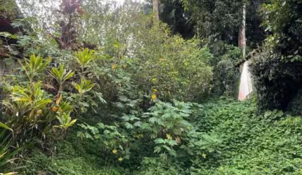Terreno à venda na Rua Jacob Eisenhuth, --, Atiradores, Joinville por R$ 1.400.000