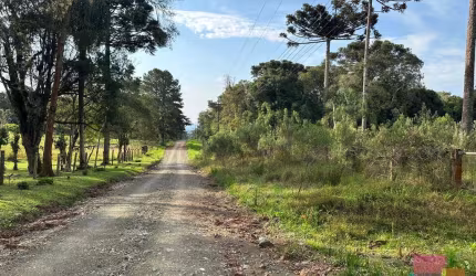 Terreno à venda na Otto Zschoerper, --, Campestre, Campo Alegre por R$ 750.000