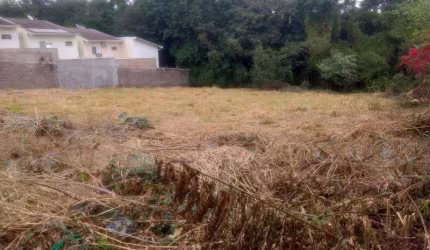 Terreno para Venda em Campinas, Arruamento Fain José Feres