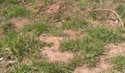 TERRENO - JD. ANA ESTELA