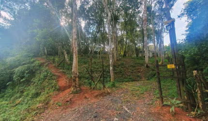 Venda | Terreno com 750 m². Jardim das Cerejeiras, Cotia SP