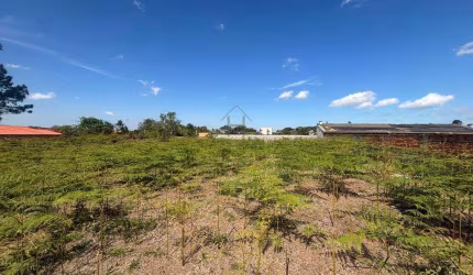 Terreno à venda em Cotia, Parque Dom Henrique, com 1015 m², Parque Don Henrique ll