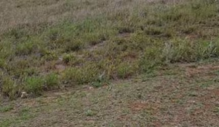 Terreno à venda, 572 m² por R$ 743. - Aldeia da Serra - Santana de Parnaíba/SP C