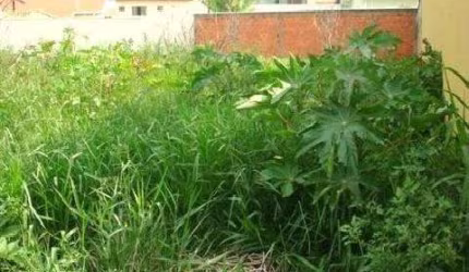 Terreno à venda na Avenida Milton Christini, 1723, Parque Alto Taquaral, Campinas por R$ 410.000