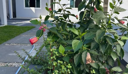Casa em Nova Califórnia (Tamoios) - Cabo Frio
