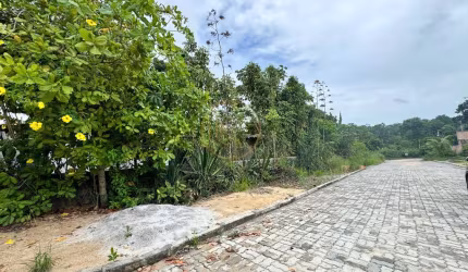 Casa 2 Dormitórios em Coroa Vermelha - Oportunidade Imperdível!