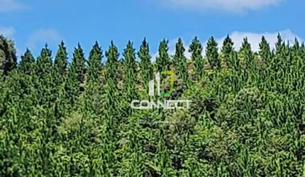 Fazenda à venda, 4477000 m² por R$ 27.000.000,00 - Zona Rural - Bocaiúva do Sul/PR