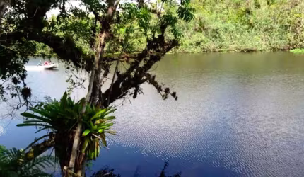 Chácara em Praia de Leste, Preço Imperdível e Fundos para o Rio Guaraguaçu