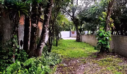 Terreno  próximo a Praia de Leste, murado, aterrado 200 mts da rodovia