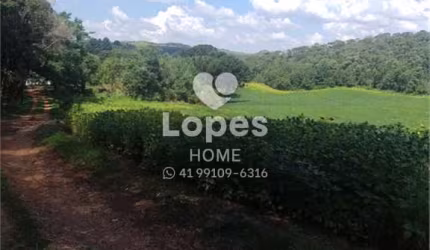 Terreno à venda na Rodovia dos Minérios, 7988, Tranqueira, Almirante Tamandaré, 14519 m2 por R$ 3.000.000