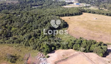 Terreno comercial à venda na Rua Maria Dalprá Berlesi, 102, Canguiri, Colombo, 20000 m2 por R$ 3.000.000