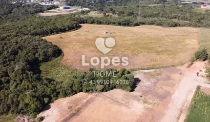 Terreno à venda na Rua Maria Dalprá Berlesi, 99, Canguiri, Colombo, 20000 m2 por R$ 3.000.000