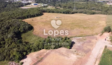 Terreno comercial à venda na Rua Maria Dalprá Berlesi, 99, Canguiri, Colombo, 20000 m2 por R$ 3.000.000