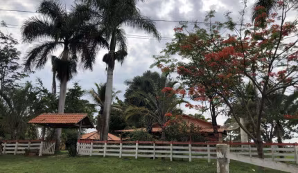 Chácara à venda no bairro Setor Central em Petrolina de Goiás/GO