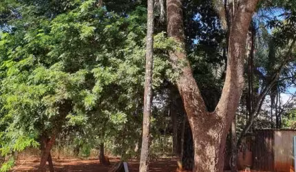 Chácara à venda no bairro Estância Vargem Bonita em Senador Canedo/GO