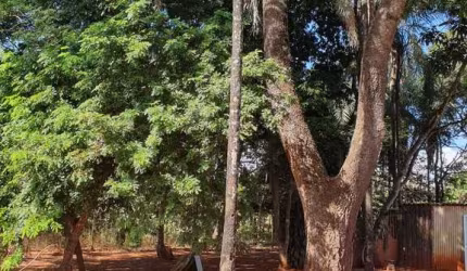 Chácara à venda no bairro Estância Vargem Bonita em Senador Canedo/GO